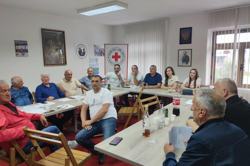 Udruženje dobrovoljnih davalaca krvi Željezare Nikšić, Foto: Privatna arhiva