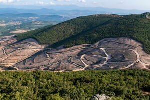 Zakon EU o zabrani krčenja šuma ugrožava poslovanje svjetskih...