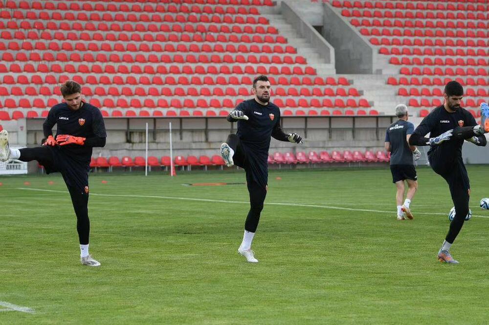 Milan Mijatović, Foto: FSCG