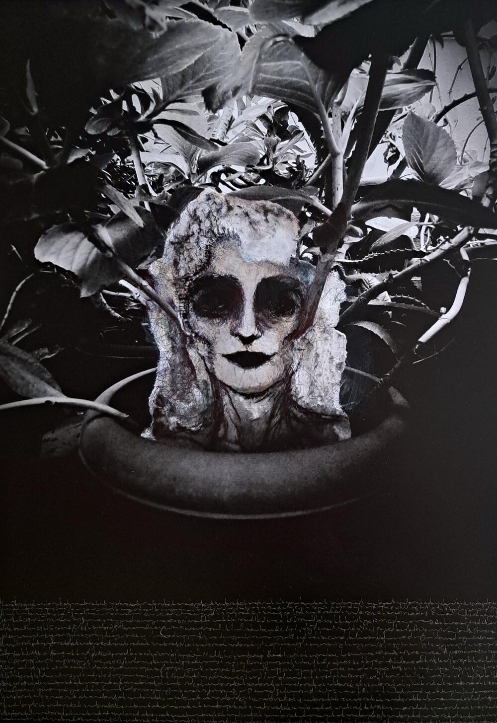 Djelo “Rebirth” (Ponovno rođenje/Preporod)