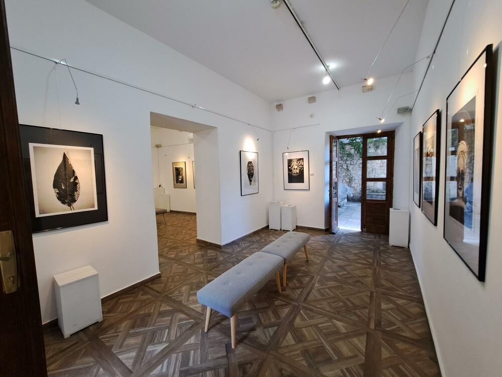 Sa izložbe u Kotoru