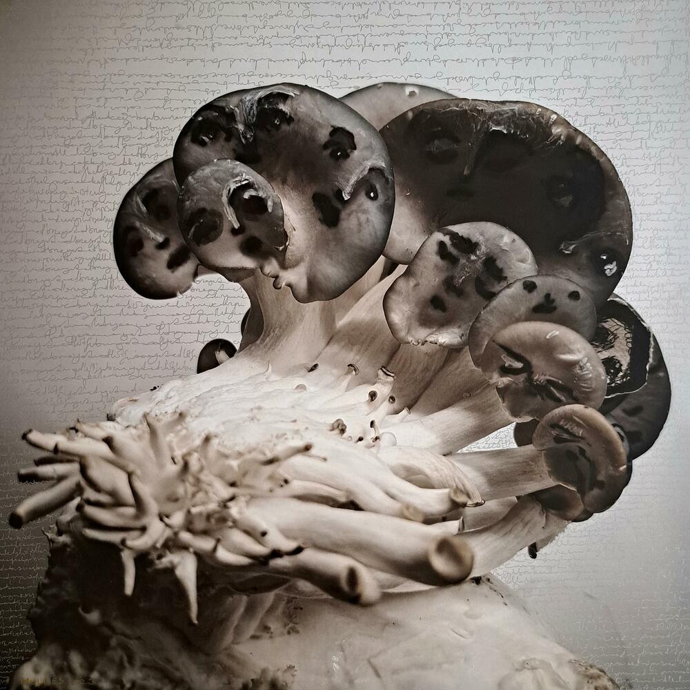 Jedan od radova Meltem Uldes: “Homemade human kit”