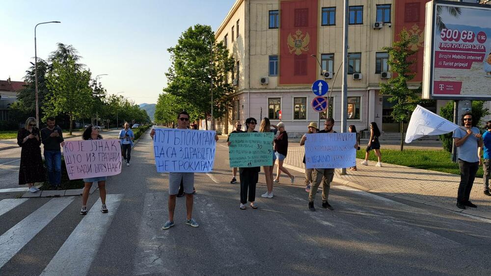 Nikšić protest