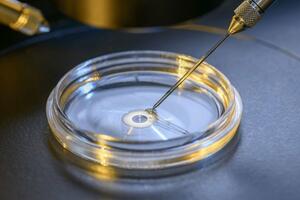 Naučnici su uspjeli da stvore ljudski embrion: Zašto je to važno