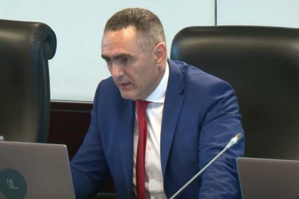 Damjanović, Foto: Printscreen YouTube