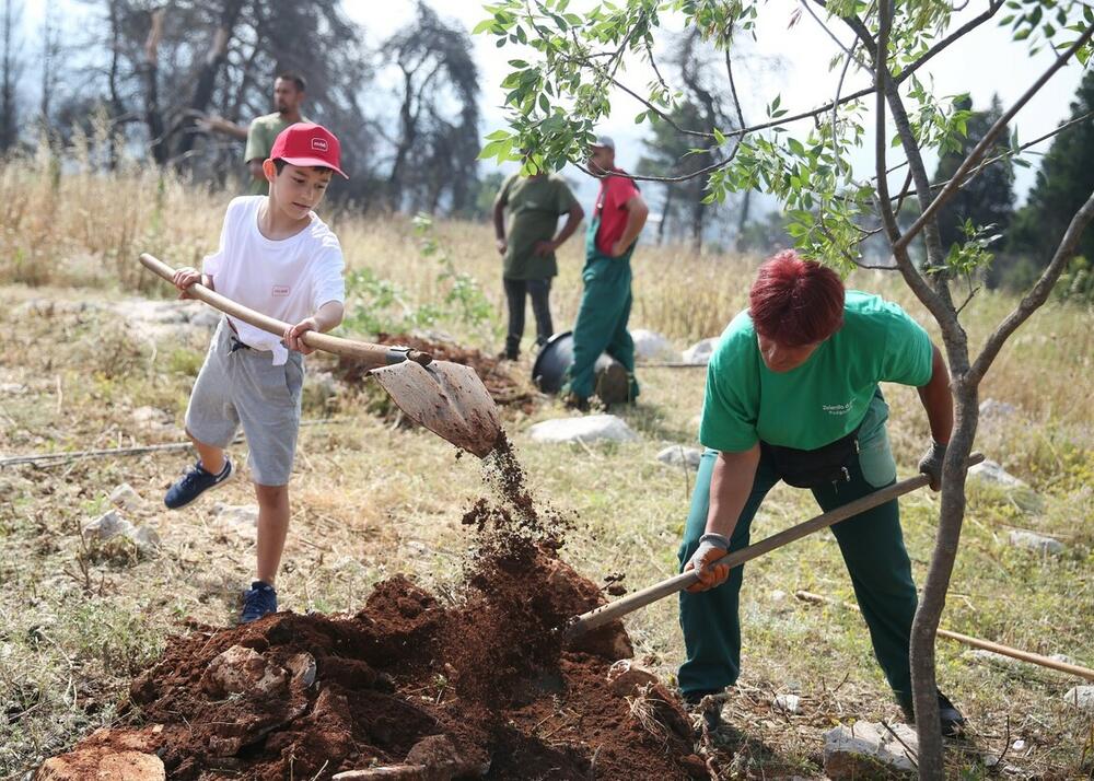 <p>"Sigurno ćemo i u buduće našu Crnu Goru učiniti boljom i ljepšom, a ovo je dokaz da zaposleni u kompaniji Mtel vole Podgoricu i naš glavni grad“</p>