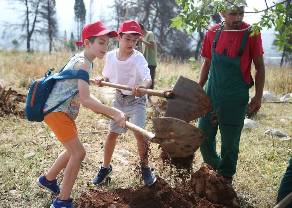 <p>"Sigurno ćemo i u buduće našu Crnu Goru učiniti boljom i ljepšom, a ovo je dokaz da zaposleni u kompaniji Mtel vole Podgoricu i naš glavni grad“</p>