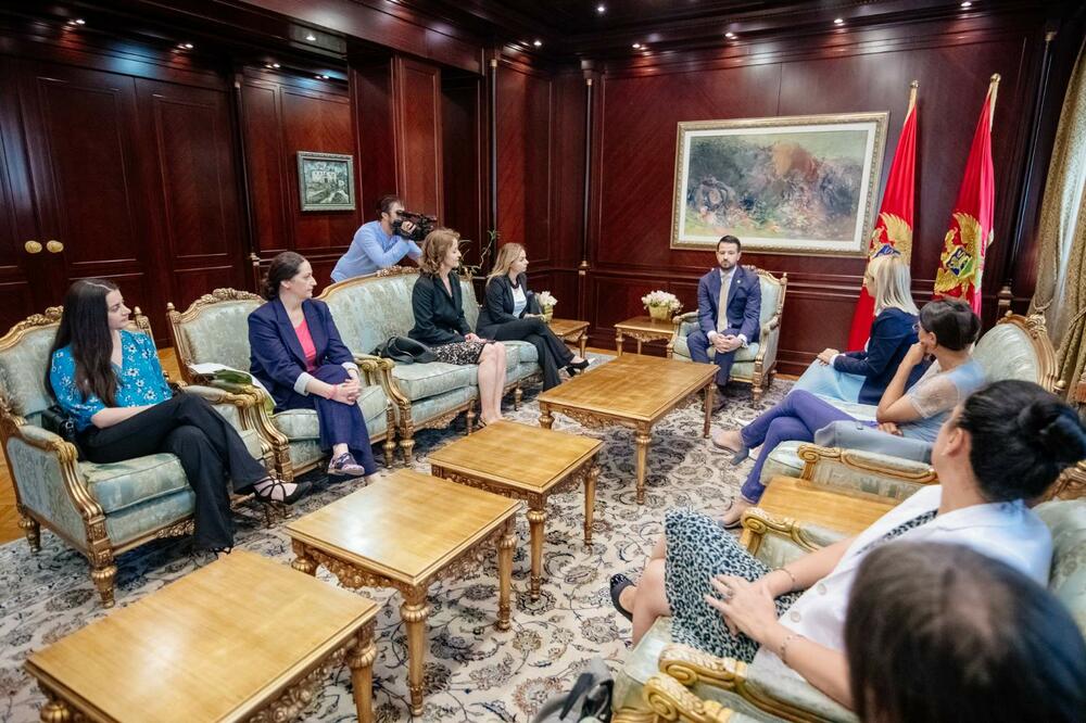 Sa jučerašnjeg sastanka NVO predstavnika i Milatovića, Foto: Screenshot/Twitter/CGO