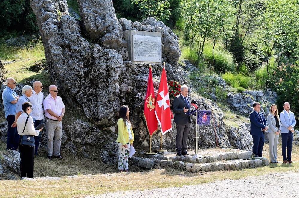<p>"Ova godišnjica treba služiti kao napomena da se nikada ne smijemo umoriti u borbi za slobodu, već da se hrabrošću i odlučnošću moramo suočiti sa izazovima koji su pred nama", kazao je gradonačelnik Cetinja</p>