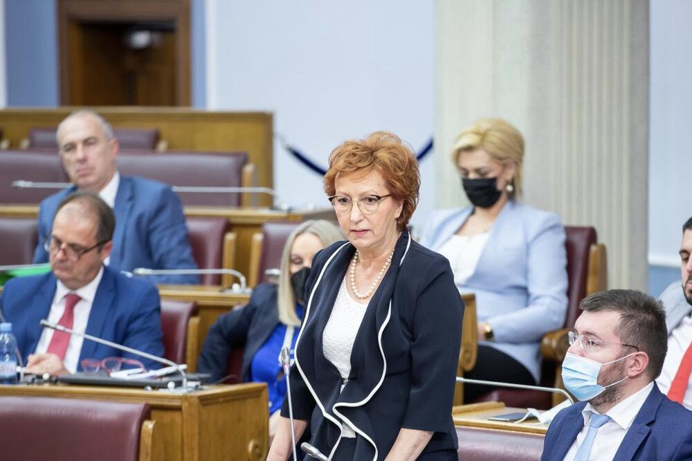 Popović, Foto: Demokratska Crna Gora