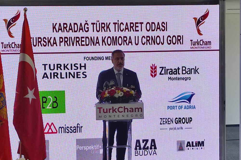 Fidan, Foto: Mirko Kotlaš