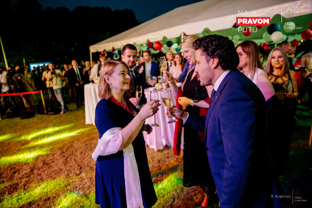 <p>"Crnogorski san postoji i počinje sa demokratijom", poručila je Rajnke</p>