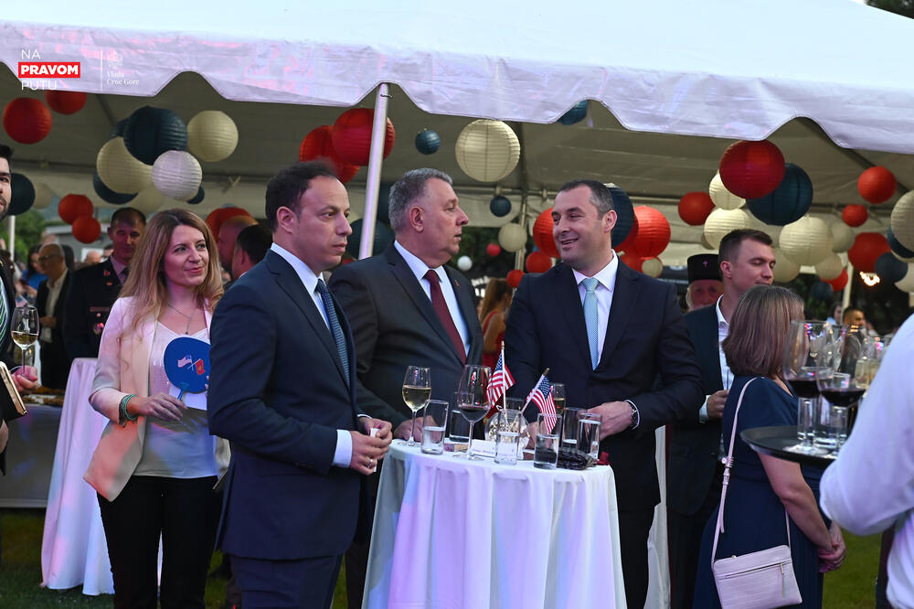 <p>"Crnogorski san postoji i počinje sa demokratijom", poručila je Rajnke</p>