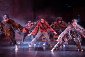 The Adriatic Dance Festival in Budva has ended: The premiere of the ballet...