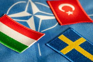 Mađarska odlaže glasanje o kandidaturi Švedske za prijem u NATO...