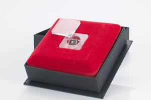 U Belgiji na aukciji prodata najmanja knjiga na svijetu