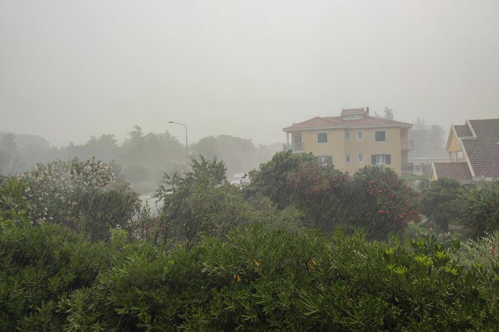 Foto: Siniša Luković