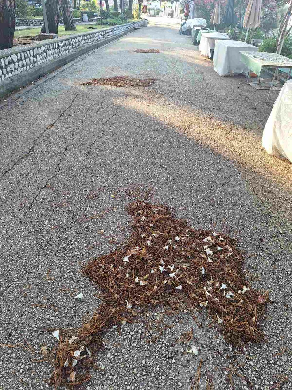 <p>Prema podacima lokalne meteorološke stanice za 24 sata u Herceg Novom palo je 87 litara kiše po metru kvadratnom. Tokom noći 15 litara, a dana 72 litra</p>