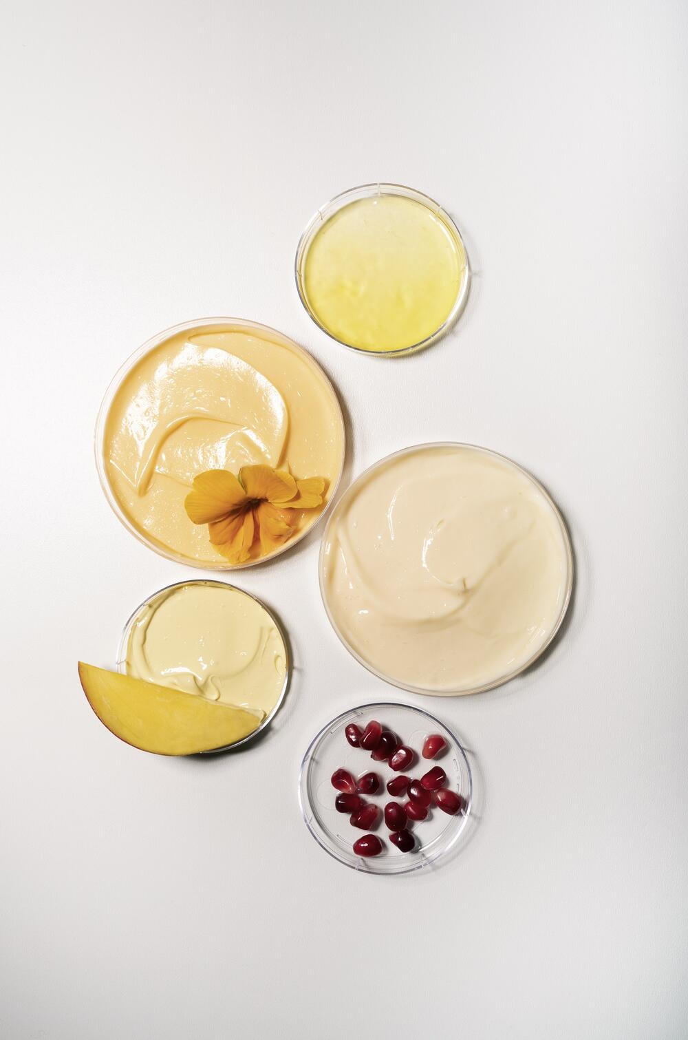 Tea Medica, Dr Grandel