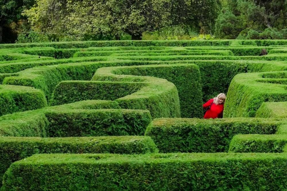 Foto: Michael Wheatley/Alamy