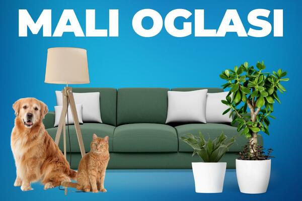 Pogledajte najnovije ponude nekretnina, vozila, usluga i drugih...