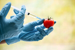 EU odobrila nove genske tehnike u proizvodnji hrane za borbu...