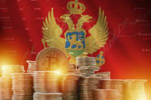 Kriptovalute i Crna Gora: kratka, ali intenzivna priča