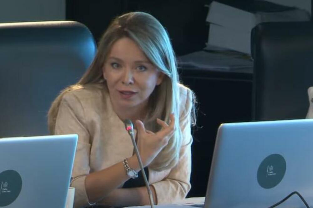 Radović na sjednici, Foto: Printscreen YouTube