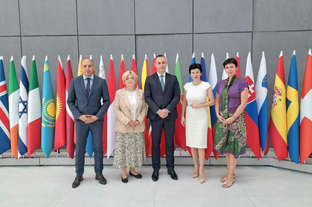 Crnogorska delegacija na konferenciji u Budimpešti, Foto: Ministarstvo zdravlja