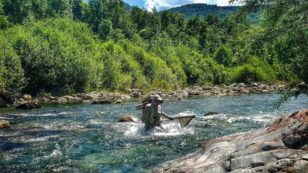 Mićović u meredovu nosi sudijama ulov, koji nakon mjerenja ribu vraćaju u vodu