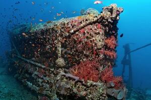 Okeani: Koliko brodskih olupina leži na dnu svjetskih mora