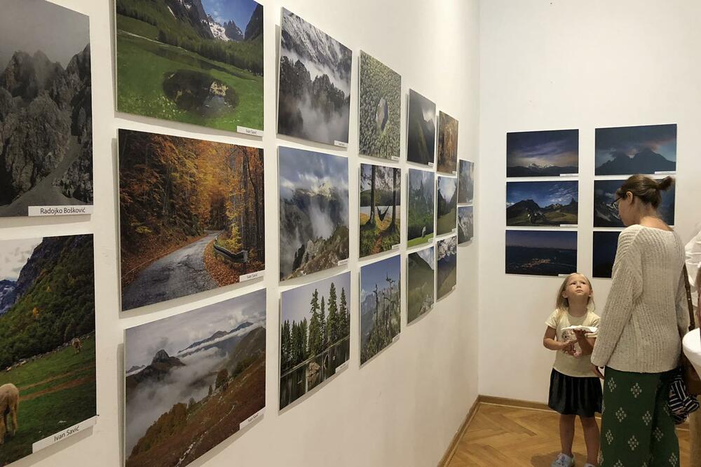 Detalj sa izložbe, Foto: Green Home