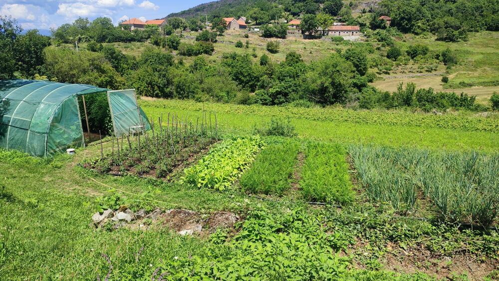 <p>Selo Kljakovica udaljeno je pedesetak kilometara od Nikšića, i danas ga &ldquo;čuva&rdquo; po pet žena i muškaraca...</p>