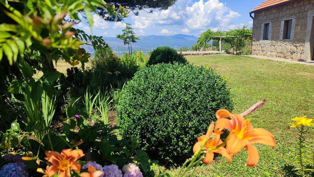 <p>Selo Kljakovica udaljeno je pedesetak kilometara od Nikšića, i danas ga &ldquo;čuva&rdquo; po pet žena i muškaraca...</p>