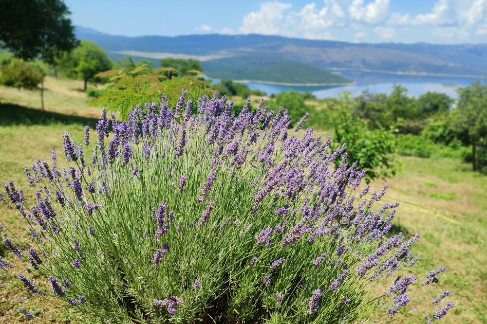 Prelijepo selo s pogledom na jezero, Foto: Svetalana Mandić