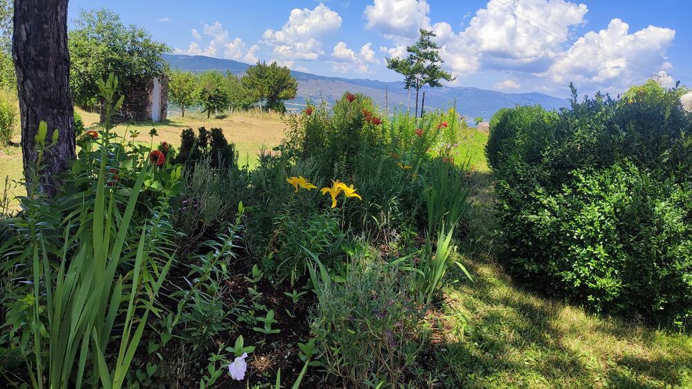 <p>Selo Kljakovica udaljeno je pedesetak kilometara od Nikšića, i danas ga &ldquo;čuva&rdquo; po pet žena i muškaraca...</p>