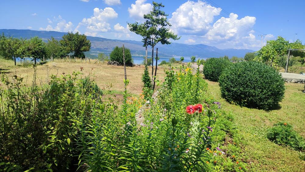 <p>Selo Kljakovica udaljeno je pedesetak kilometara od Nikšića, i danas ga &ldquo;čuva&rdquo; po pet žena i muškaraca...</p>