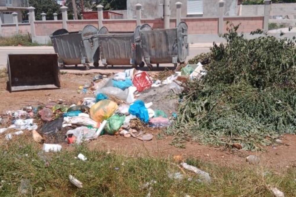 Detalj iz Nikšića, Foto: Ecopatriotizam