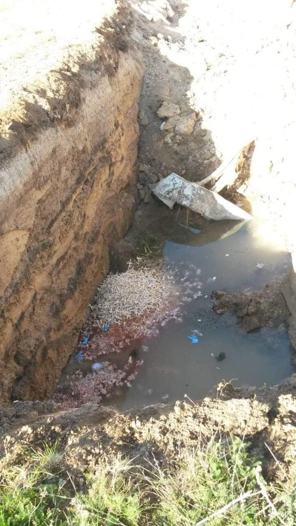 <p>"Građani mjesnih zajednica pokazuju veliku zabrinutost za kvalitet životne sredine koja je ugrožena nesavjesnim odglanjem otpada brojnih pojedinaca ali i kompanija, koji u velikom broju doprinose narušavanju životne sredine"</p>