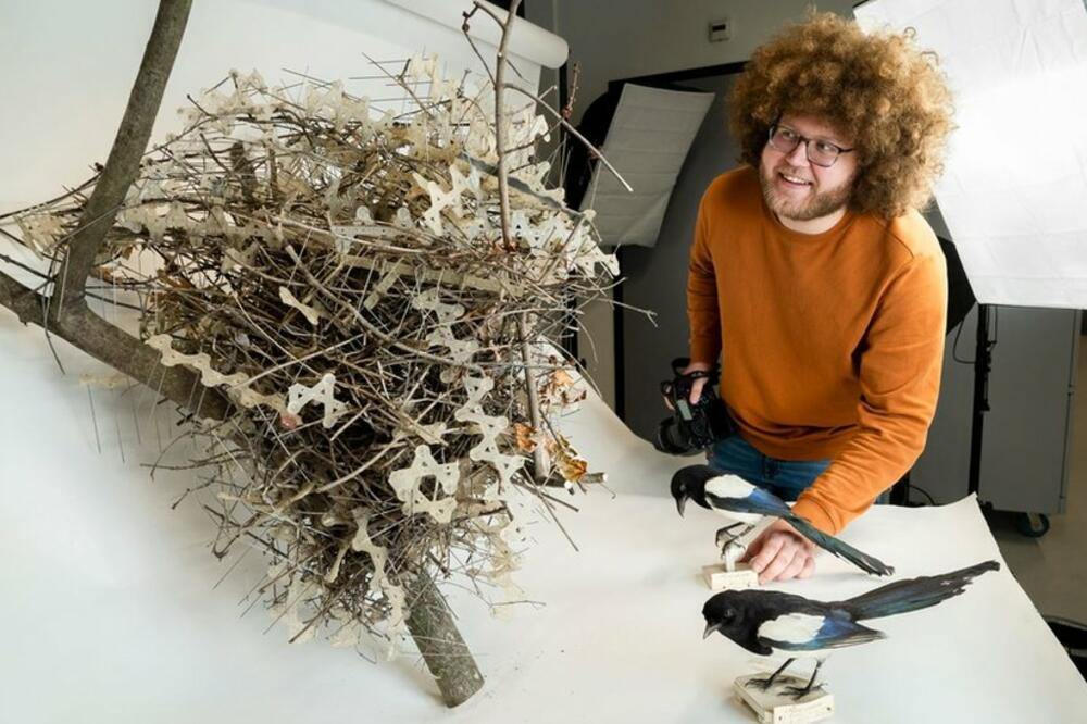 Foto: Alexander Schippers