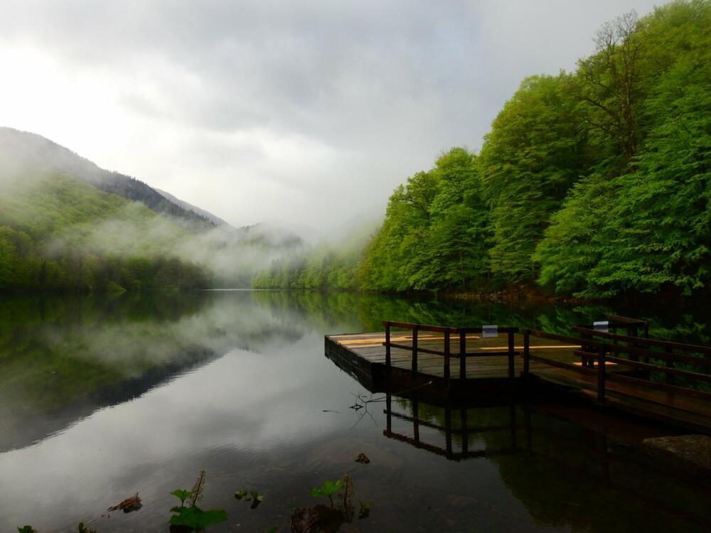 Detalj iz nacionalnog parka