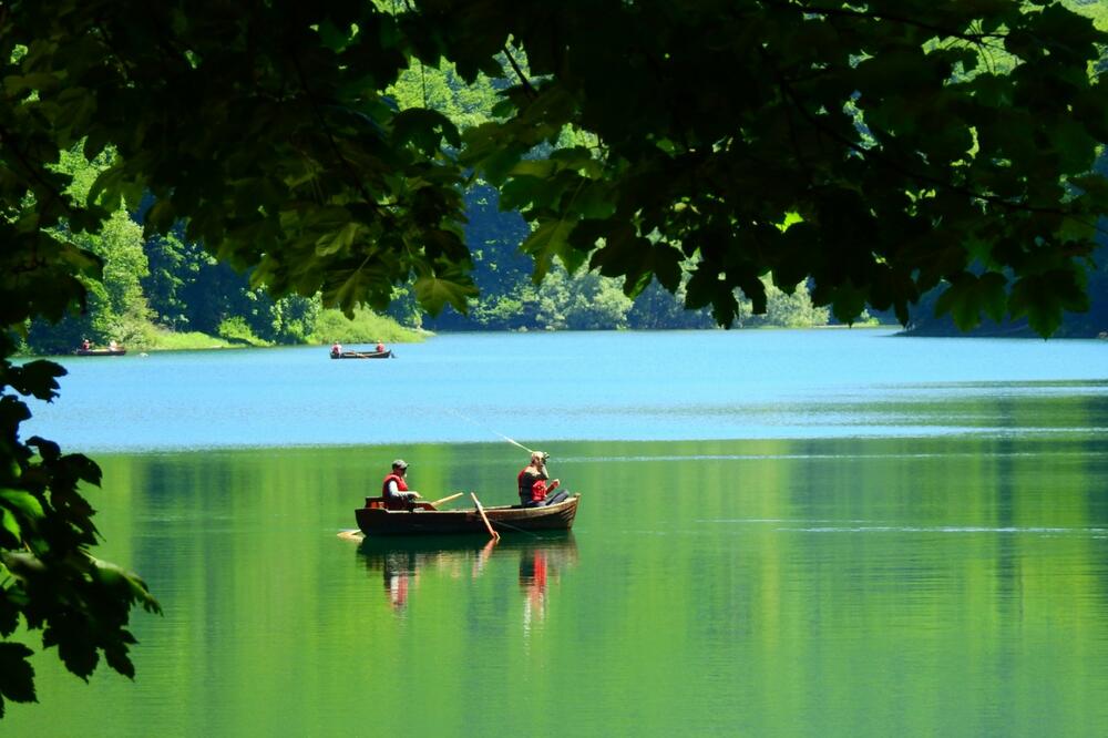 Ilustracija, Foto: NPCG