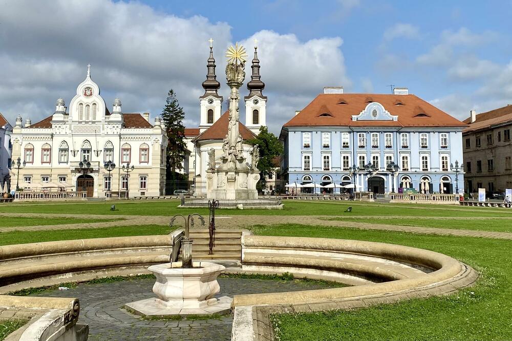 Foto: Dragoslav Dedović