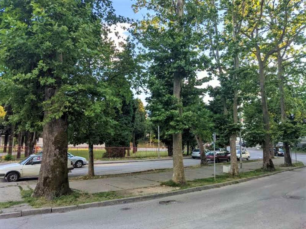 Detalj iz Danilovgrada