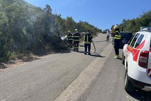 Herceg Novi: Ugašen manji šumski požar u Mardarima