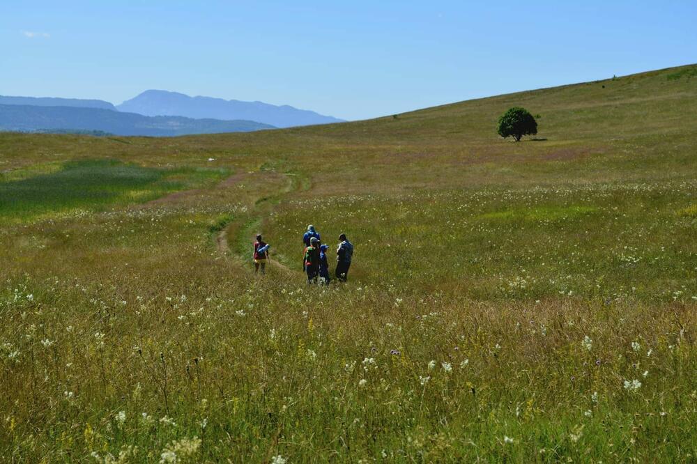 Detalj sa ture, Foto: Svetlana Nikčević