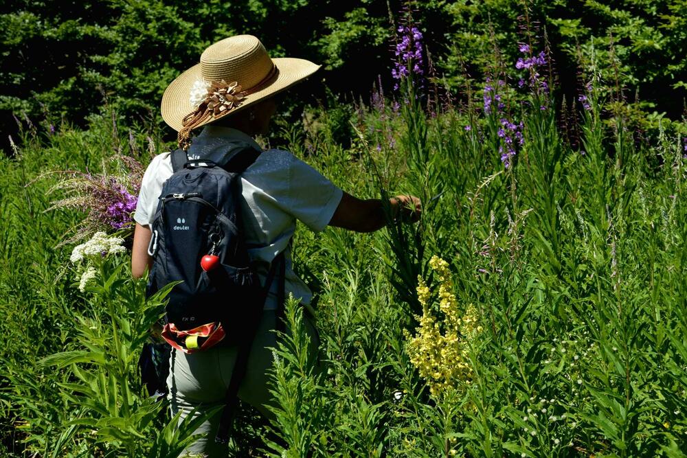 <p>„Ljekovita“ tura od Vučja, izletišta koje je dvadesetak kilometara udaljeno od Nikšića, do visoravni Konjsko</p>