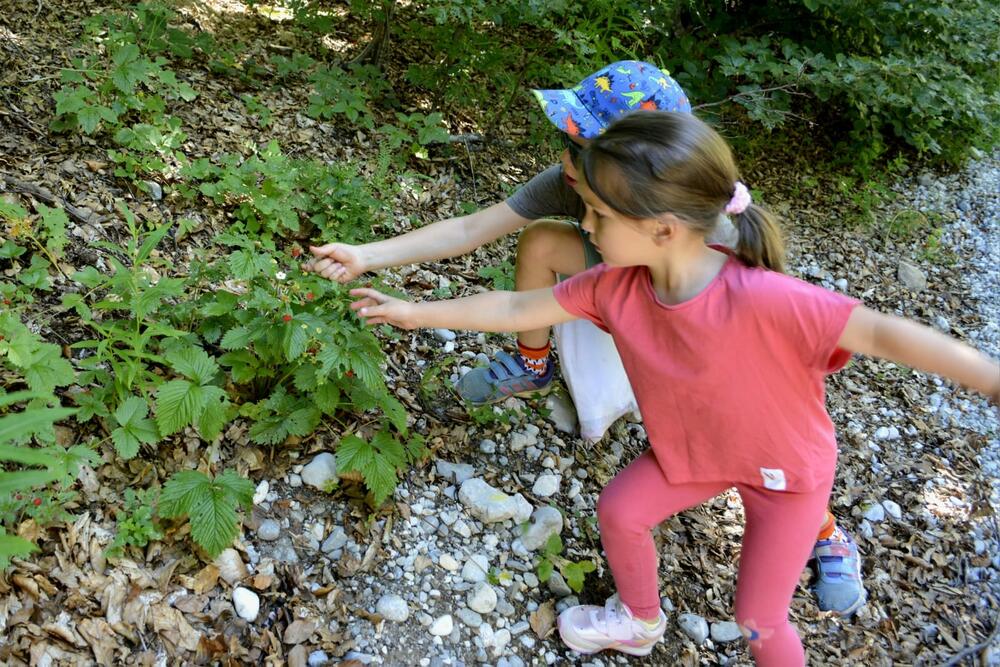 <p>„Ljekovita“ tura od Vučja, izletišta koje je dvadesetak kilometara udaljeno od Nikšića, do visoravni Konjsko</p>