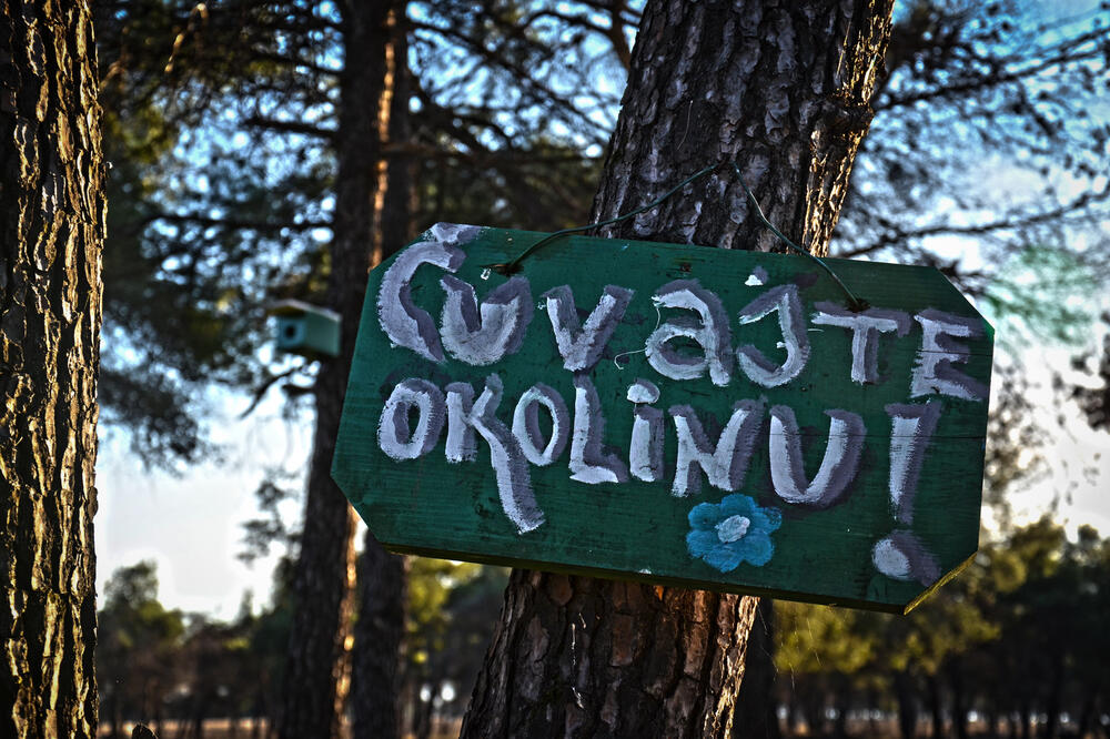 Osim biznisa, svaki pojedinac može da doprinese zdravoj životnoj sredini, Foto: Damira Kalač