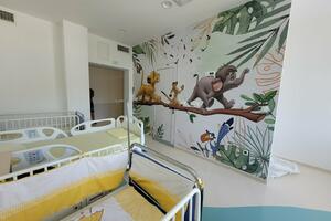 Bjelopoljska Opšta bolnica dobija novu pedijatriju za stoti...